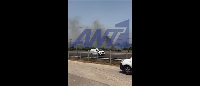 Χωρίς ενεργό μέτωπο η φωτιά σε παράδρομο της Εθνικής Οδού Αθηνών στο ύψος των Αφιδνών