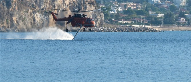 Φωτιά τώρα στo Λασίθι: Ήχησε το 112