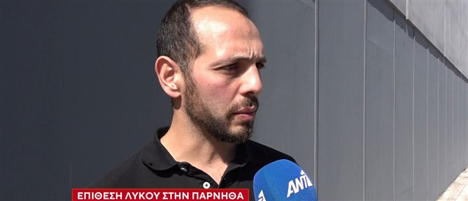 Στον ΑΝΤ1 ο περιπατητής που δέχθηκε επίθεση από λύκο - Άμα είχα ένα από τα παιδιά μου, δεν ξέρω πως θα είχε εξελιχθεί η κατάσταση