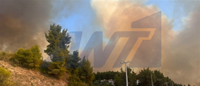 Δίπλα σε σπίτια οι φλόγες στη Χαλκιδική - Εκκενώνονται οικισμοί (Δείτε Live όλες τις εξελίξεις)
