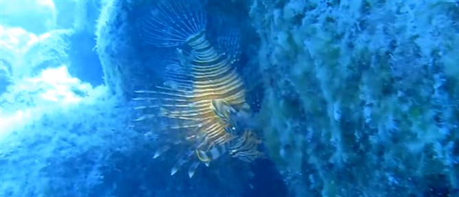 Βρέθηκαν βατραχοπέδιλα και φιάλη οξυγόνου: Αγωνία για τον 34χρονο δύτη στο "πηγάδι του διαβόλου"