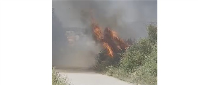 Φωτιά στη Λαμία – Επιχειρούν 2 εναέρια μέσα