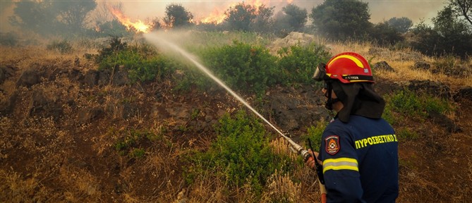 Βελτιωμένη η εικόνα της πυρκαγιάς στον Ορχομενό Βοιωτίας