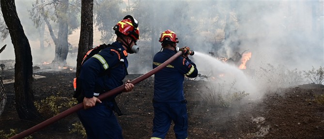 Υπό έλεγχο η πυρκαγιά στη Γιάννουλη Σουφλίου