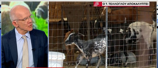 Τέλλογλου - ΟΠΕΚΕΠΕ : Δεν έφτανε η Κρήτη, δηλώσανε την Νίσυρο