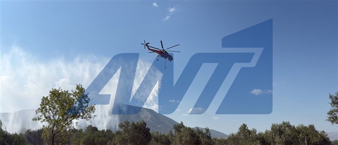 Βελτιωμένη η εικόνα της φωτιάς στο Κορωπί (εικόνες)