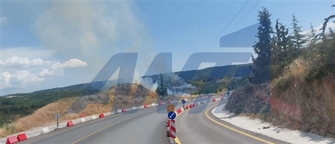 Θεσσαλονίκη: Ποινική δίωξη σε τρία άτομα για τη φωτιά στο Φίλυρο