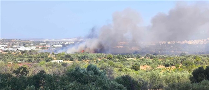 Φωτιά σε χαμηλή βλάστηση στο Κορωπί