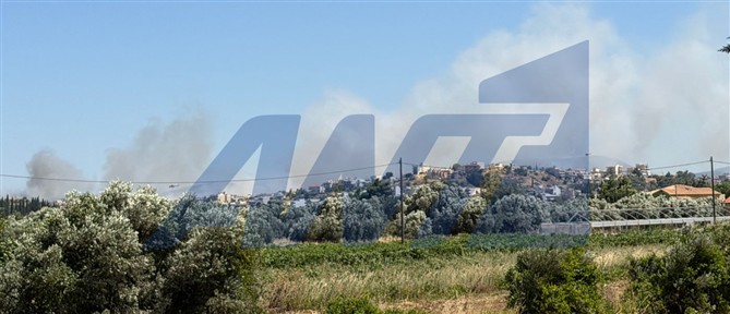 Σε ύφεση η φωτιά στα Σπάτα - Σε επιφυλακή η Πυροσβεστική στην Αττική