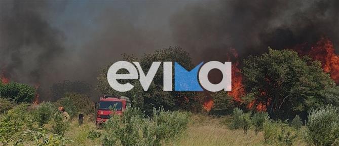 Εύβοια: Φωτιά στο Αλιβέρι και μήνυμα από το 112 (βίντεο)