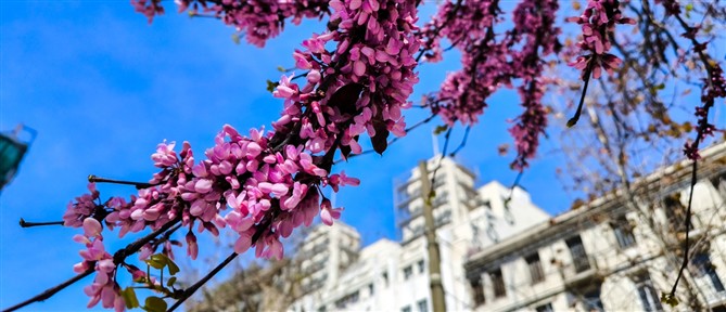 Τι καιρό θα κάνει τη Μεγάλη Τετάρτη