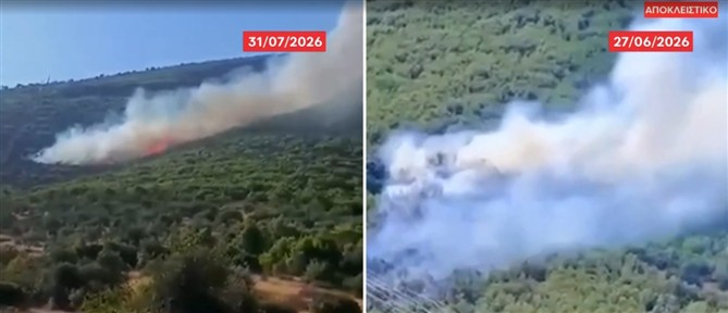 Αποκλειστικό ANT1 - Φωτιά στο Πόρτο Γερμενό: Σοβαρές κατασκευαστικές αστοχίες στο αιολικό πάρκο