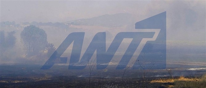 Οι άνεμοι δυσκολεύουν σημαντικά την κατάσβεση της πυρκαγιάς στην Βάρδα - Συνεχείς αναζωπυρώσεις (εικόνες)