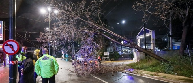 Διακοπή κυκλοφορίας στην οδό Πειραιώς έπειτα από πτώση δέντρου - Κυκλοφοριακές ρυθμίσεις λόγω της κακοκαιρίας