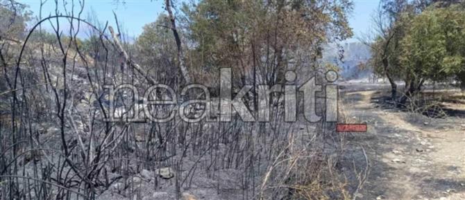 
Ηράκλειο: Φωτιά στην περιοχή Μεσαρά (βίντεο)
