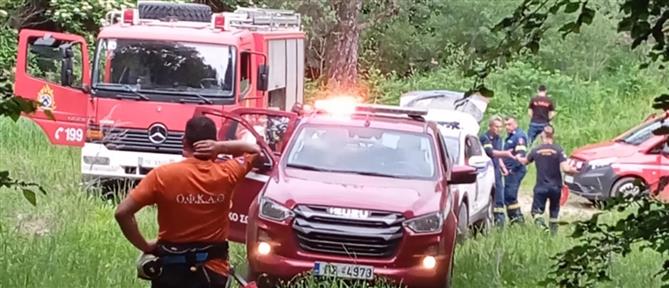 Δράμα - Επίθεση αρκούδας σε ορειβάτες: Εντοπίστηκε και ο δεύτερος περιπατητής (βίντεο)