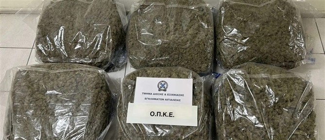 Αίγιο: Άνδρας πιάστηκε με περισσότερα από 32 κιλά κάνναβης