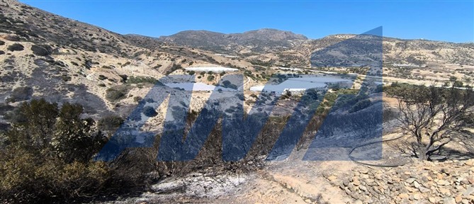 Οριοθετήθηκε η πυρκαγιά στα Μπραμιανά Ιεράπετρας - Τραυματίστηκε πυροσβέστης (εικόνες)