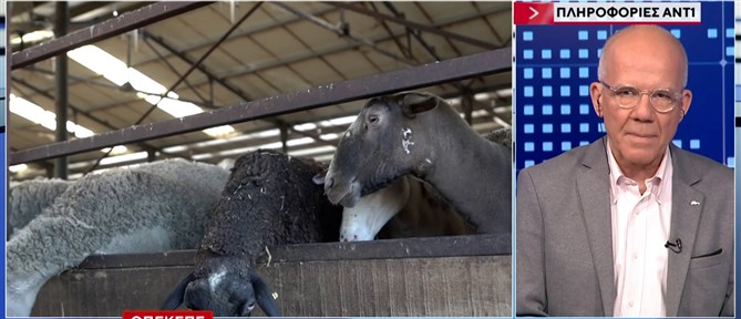 Τέλλογλου - ΟΠΕΚΕΠΕ: 4η δικογραφία από την Ευρωπαϊκή Εισαγγελία

