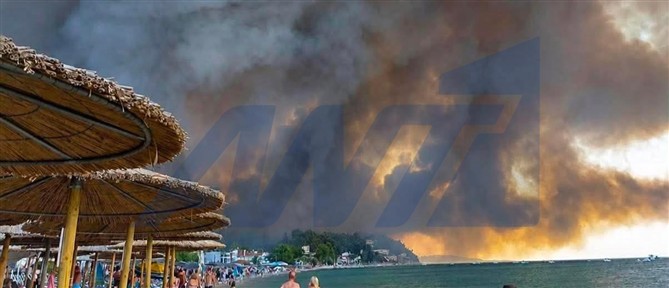 Δίπλα σε σπίτια οι φλόγες στη Χαλκιδική - Εκκενώνονται οικισμοί (Δείτε Live όλες τις εξελίξεις)
