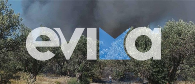 Φωτιά σε δασική έκταση στα Πολιτικά Ευβοίας - Στη μάχη της κατάσβεσης 5 εναέρια (εικόνες)