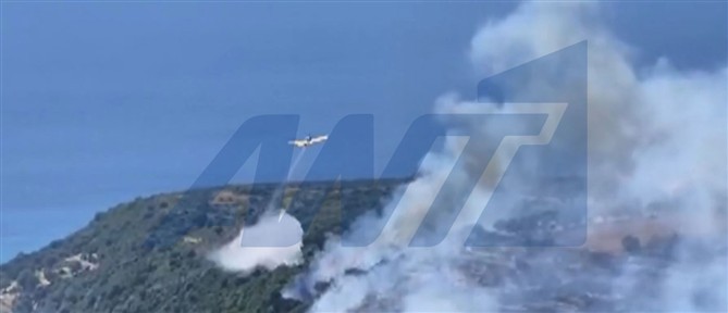 Κεφαλονιά: Συνελήφθη 44χρονος για εμπρησμό από πρόθεση - Είχε καταδικαστεί ξανά στο παρελθόν