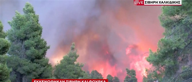 Ανεξέλεγκτη καίει η φωτιά στην Χαλκιδική - Απανωτά μηνύματα για εκκενώσεις οικισμών (βίντεο)