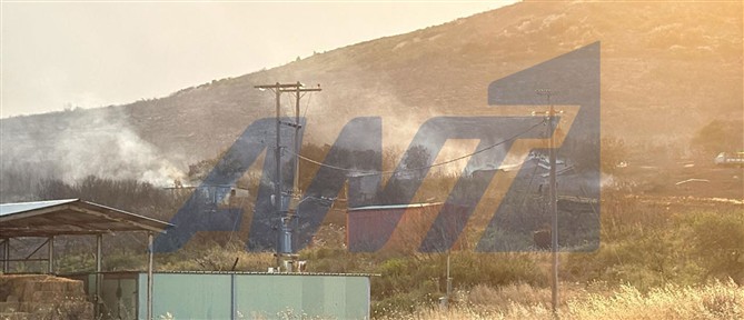 Φθιώτιδα: Σε ύφεση η φωτιά στο Καλαπόδι