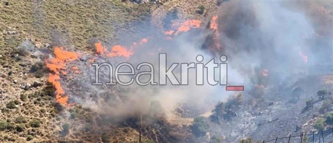 Μελιδοχώρι Ηρακλείου: Ενισχύονται οι πυροσβεστικές δυνάμεις, 11 εναέρια μέσα, ισχυροί άνεμοι στην περιοχή