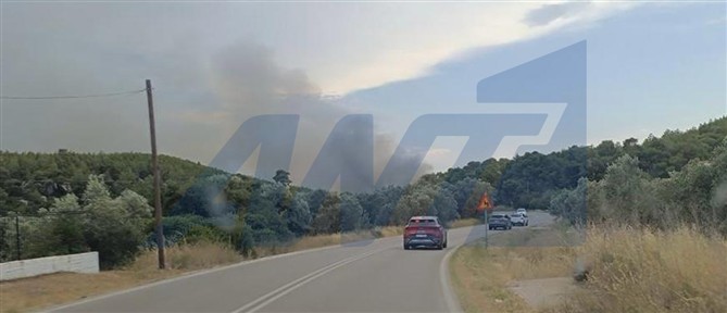Από εργασίες κοπής βλάστησης φέρεται να ξεκίνησε η φωτιά στην Περαχώρα Κορινθίας