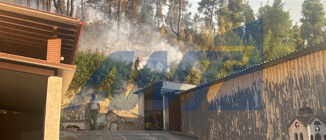Φωτιά στη Χαλκιδική: Στέγη στους πληγέντες προσφέρουν ξενοδόχοι – Ενεργοποιήθηκε ειδική πλατφόρμα