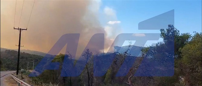 Μεγάλη Φωτιά στην Οινόη: Επιχειρούν 140 πυροσβέστες και εναέρια μέσα - Μήνυμα από το 112 (βίντεο)