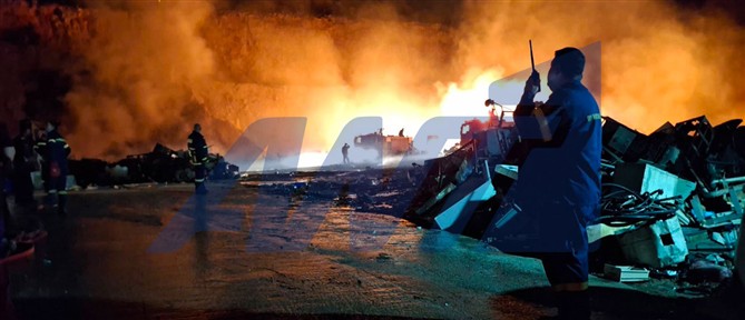 Υπό έλεγχο η πυρκαγιά στο Ελληνικό Σαλαμίνας