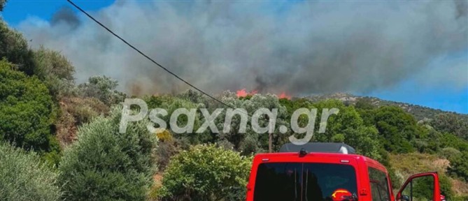 Ενισχύθηκαν οι Πυροσβεστικές δυνάμεις στην Εύβοια