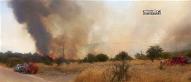 Μαίνεται η φωτιά στο Αδάμι Επιδαύρου: Ενισχύθηκαν οι Πυροσβεστικές δυνάμεις, επιχειρούν 12 εναέρια