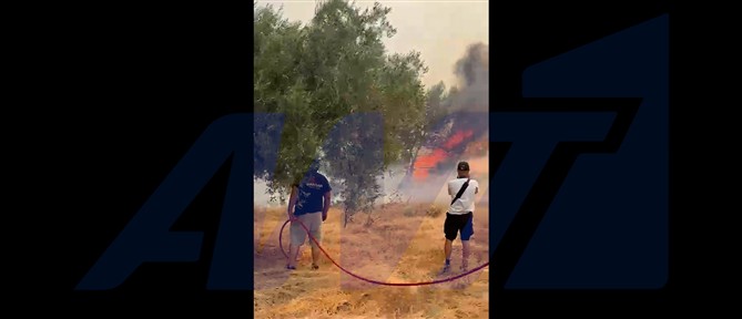Μάχη με τα πύρινα μέτωπα στη Δυτική Αττική - Διαδοχικά μηνύματα του 112 για απομακρύνσεις πολιτών