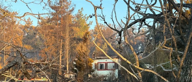 Φωτιά στο Ωραιόκαστρο: Σε ντουλάπα βρέθηκε η απανθρακωμένη σορός του 12χρονου