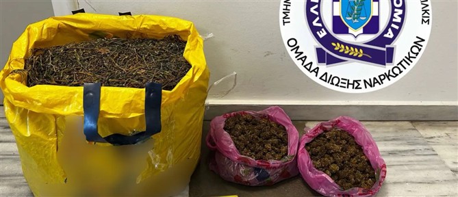 Νέες μικροφυτείες κάνναβης σε Λέσβο και Κιλκίς (εικόνες)