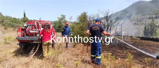 Κόρινθος: Φωτιά στο Αγγελόκαστρο - Μεγάλη κινητοποίηση της Πυροσβεστικής