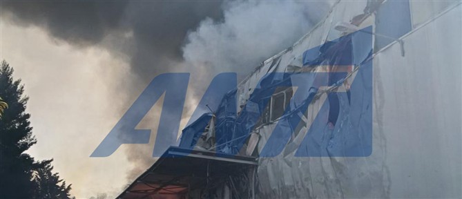Οριοθετήθηκε η πυρκαγιά που ξέσπασε μετά την πτώση του Phantom στην Τανάγρα