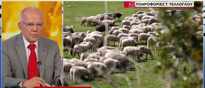 Τέλλογλου: Η κατάργηση επιδοτήσεων σε βιολογικό μέλι - κρέας και η χρηματοδότηση σε αρδευτικά έργα (βίντεο)