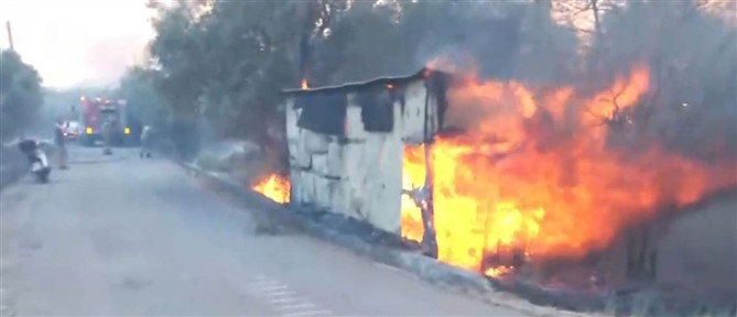 Πυρκαγιά στο Σκάλωμα Φώκιδας: Μπαράζ του 112 για εκκενώσεις περιοχών